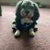 Katherine Horner Bringhurst - Facebook