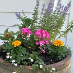 Katie Brink - @katies_container_design - Instagram