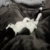 MamaKT3 - @katie.brink1.2.3 - TikTok