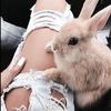 katie.brush - @..blueberryblush - TikTok