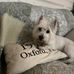 Kate Bruton Heller - Facebook
