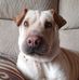 Katie Bobb - Facebook