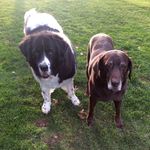 Katie Bunch Miller - @kbmlr - Instagram