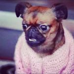 Katie Cagle - @kabiecable - Instagram