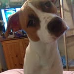 Katie Callaway - @pixiexstickskat - Instagram