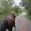 Katie Cano - @katie.cano - TikTok