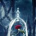 Katie catt - Facebook