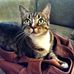Katie Catt - Facebook