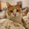 Katiecat5 - @katiecatt5 - TikTok
