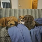 Katie Caulfield - Facebook