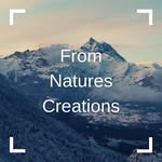Katie Caulfield - @fromnaturescreations - Instagram
