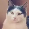 katichat1 - @katichat1 - TikTok