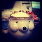 Katie Cheek - @hellohedgehogs_ - Instagram
