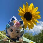 Katie Class - @the_crafter_chronicles - Instagram