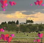 Katie Cleaver - Facebook