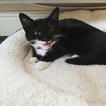 katie coley - @rainbowgalaxy_katie - Instagram