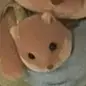 Katie - @katiecoley - TikTok