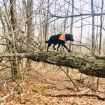 Katie Collette - @katiecollettevt - Instagram