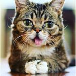 katie_compton_backup - @katie_compton_backup - Instagram