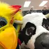 Katie cool - @thekatiecoolshow - TikTok