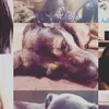 Katie💗 - @k.atie_c.ool - TikTok