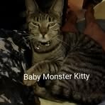 Kate Couch - Facebook