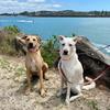 Katie Court - @bell.and.rev - TikTok