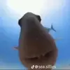 katiewatiebeingcraycray - @katiewatiebeingcraycray - TikTok