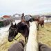 Kate Cusick - Facebook