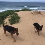 Katie Dakin - @katie.r.dakin - Instagram
