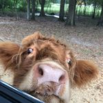 Katie Danielson - @katie_danielson - Instagram