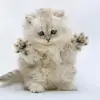 user7913560972614 - @katiedasie2233 - TikTok