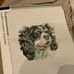 Katie Dawes Lincolnshire Wildlife &amp; Pet Artist - Facebook