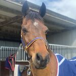 Katie - @_katiedennett_ - Instagram