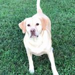 Katie Dawson - @katie.denney.1 - Instagram