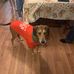 Katie Denney - Facebook