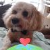 Katie Austin Dinger - Facebook