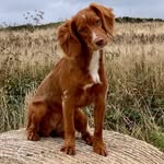 Katie Dingle - @katie.dingle1 - Instagram