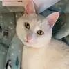 Katie - @dionkatie - TikTok