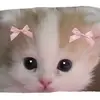 Katie - @katiedonis - TikTok