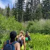 kates - @katie.donlan - TikTok