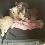 🕆Katie_Dowell🕆      🔴 - @katie_dowell_ - Instagram