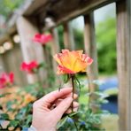 Katie Durga - Facebook