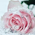 Katie Eager - @unicornfwends - Instagram