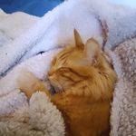 Katie Easley - @cardandcraftsupplies - Instagram