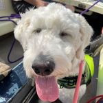 Katie Ebert - @ebertkw - Instagram
