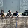 Katie Eckhardt - @katie.eckhardt - TikTok