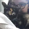 Katy Edison - @katyedison - TikTok