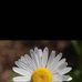 Eichie Kate - Facebook