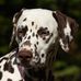 Katharina Eichholz - Facebook